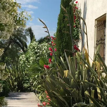 La Villa Vaihere En Camargue, L'Hibiscus Et Le Magnolia Les Les Saintes-Maries-de-la-Mer Extérieur photo