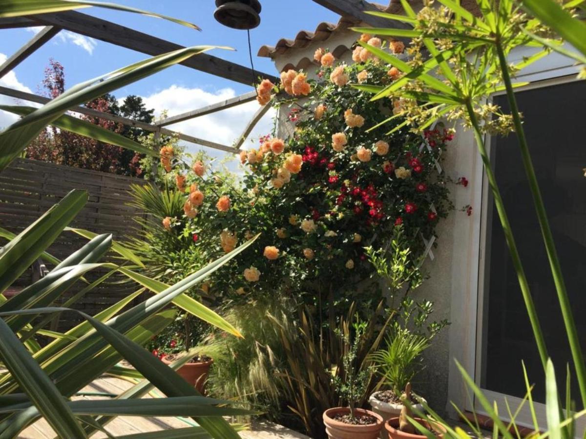 La Vaihere En Camargue, L'hibiscus Et Le Magnolia